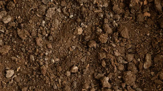 España explora el oeste del país en busca de tierras raras, con Ciudad Real y Galicia como puntos clave España explora el oeste del país en busca de tierras raras, con Ciudad Real y Galicia como puntos clave