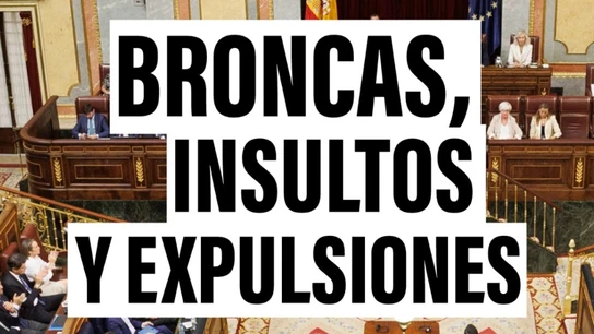 El Congreso vive una jornada más de gritos e interrupciones: la normalización de la bronca parlamentaria El Congreso vive una jornada más de gritos e interrupciones: la normalización de la bronca parlamentaria