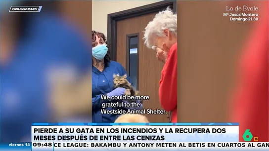 Perdió a su gata en el incendio de Los Ángeles y la recupera dos meses después entre las cenizas de su casa Perdió a su gata en el incendio de Los Ángeles y la recupera dos meses después entre las cenizas de su casa