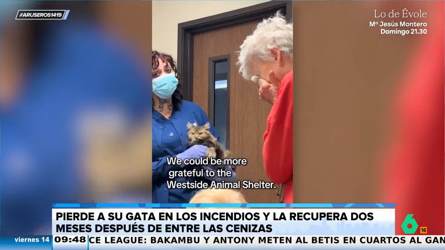 Perdió a su gata en el incendio de Los Ángeles y la recupera dos meses después entre las cenizas de su casa Perdió a su gata en el incendio de Los Ángeles y la recupera dos meses después entre las cenizas de su casa