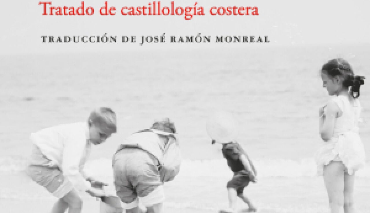 texto-alternativo