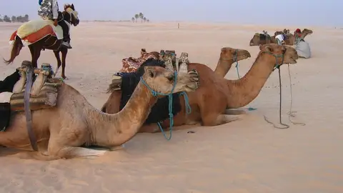 Desierto del Sahara en Túnez Desierto del Sahara en Túnez