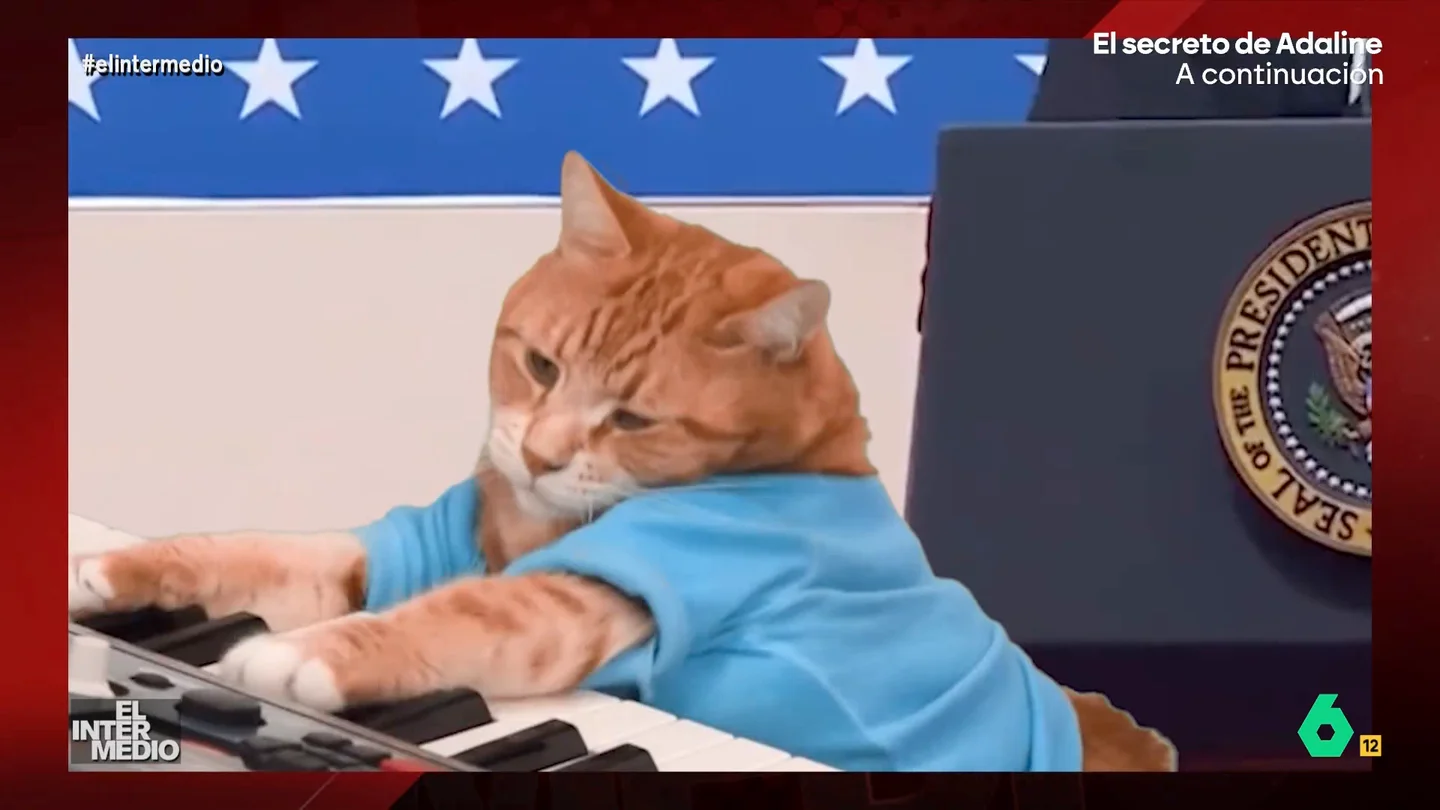 Vídeos Manipulados - Elon Musk hace un polémico gesto siguiendo el ritmo de un gato tocando el teclado En este vídeo manipulado de El Intermedio el magnate tecnológico Elon Musk vuelve a repetir su polémico gesto pero, en esta ocasión, lo hace siguiendo el ritmo de un gato que está tocando el teclado.