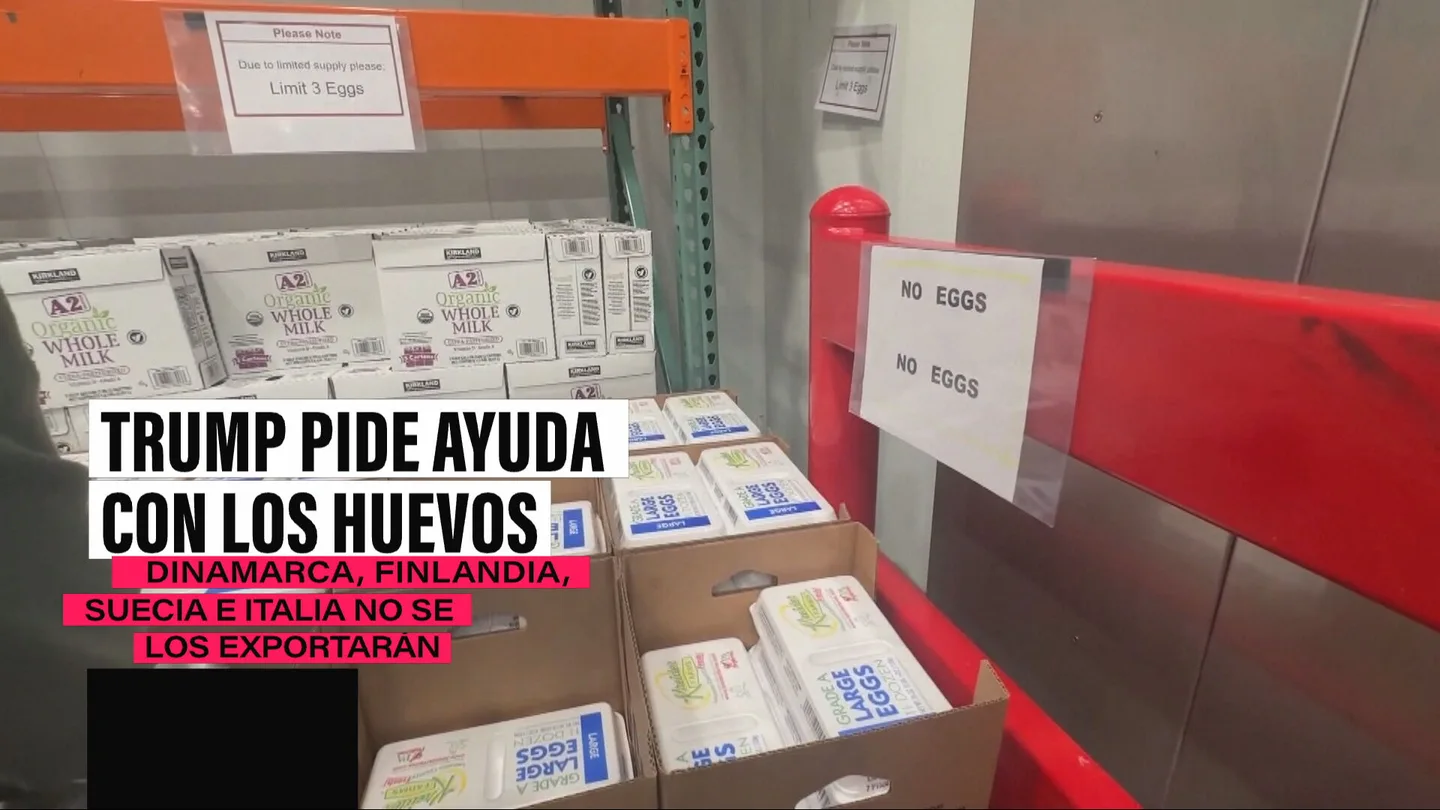 Estados Unidos, en busca de huevos: Europa da largas a un Trump que podría recurrir a España Estados Unidos, en busca de huevos: Europa da largas a un Trump que podría recurrir a España