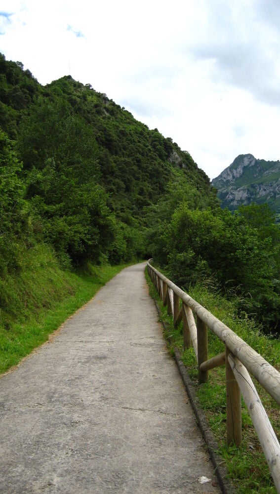 Senda del Oso, Asturias