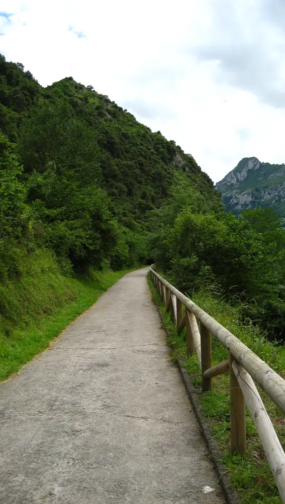 Senda del Oso, Asturias Senda del Oso, Asturias