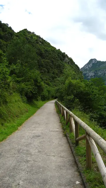 Senda del Oso, Asturias Senda del Oso, Asturias