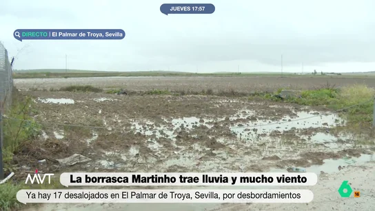 17 desalojos en El Palmar de Troya (Sevilla) por desbordamientos 17 desalojos en El Palmar de Troya (Sevilla) por desbordamientos