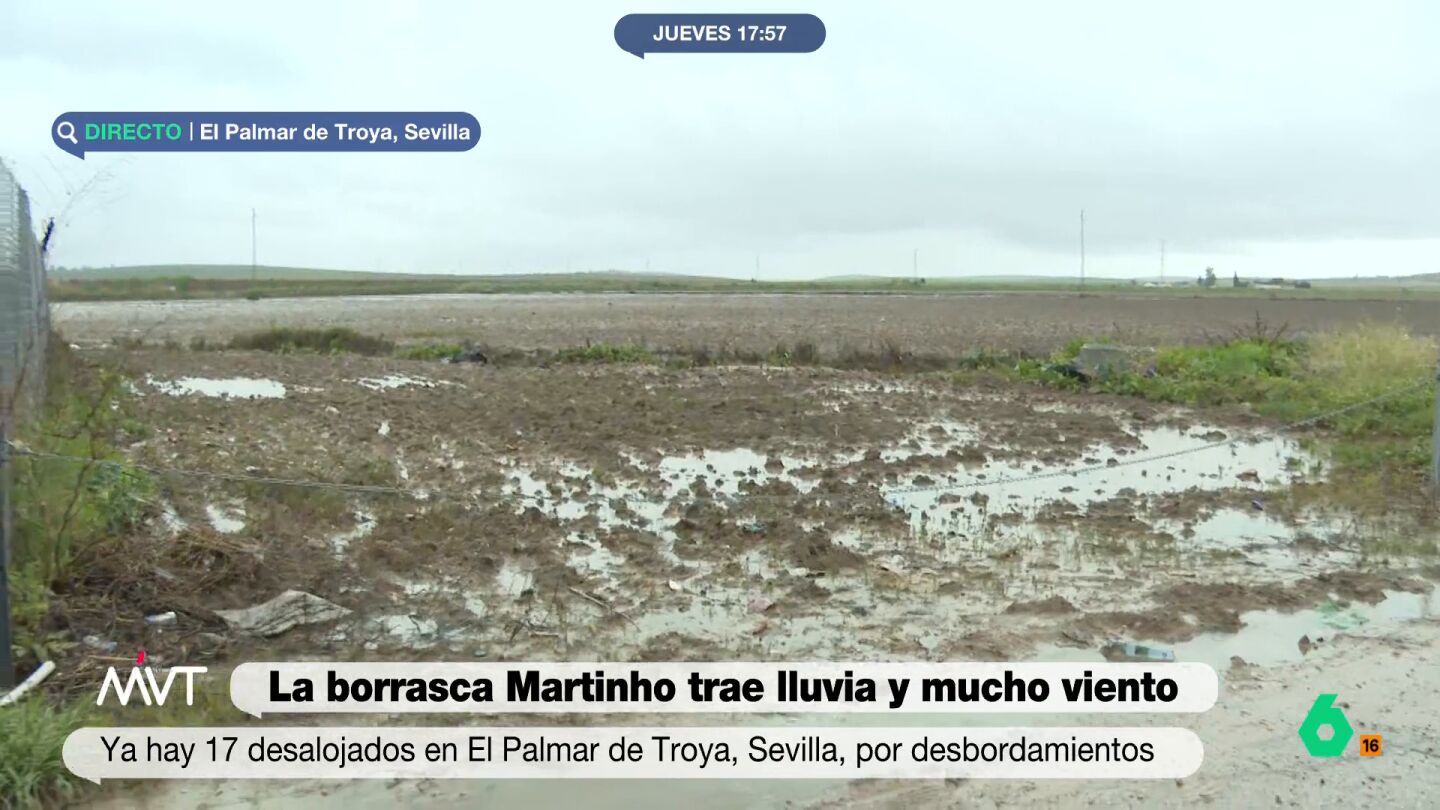 17 desalojos en El Palmar de Troya (Sevilla) por desbordamientos