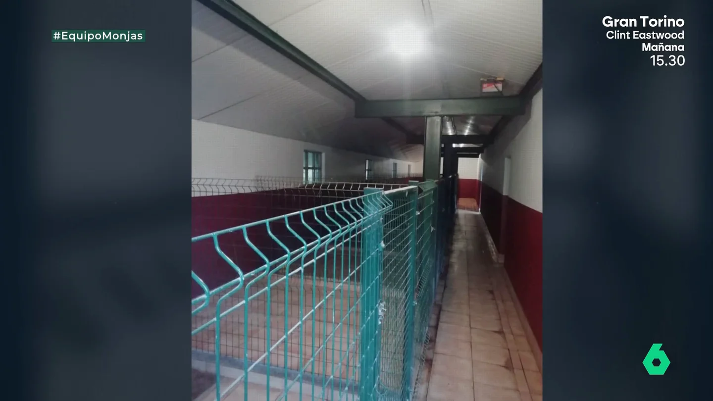 Así es "núcleo zoológico" que las monjas de Belorado compraron por "entre 50.000 y 80.000 euros": "Les encantó" Así es "núcleo zoológico" que las monjas de Belorado compraron por "entre 50.000 y 80.000 euros": "Les encantó"