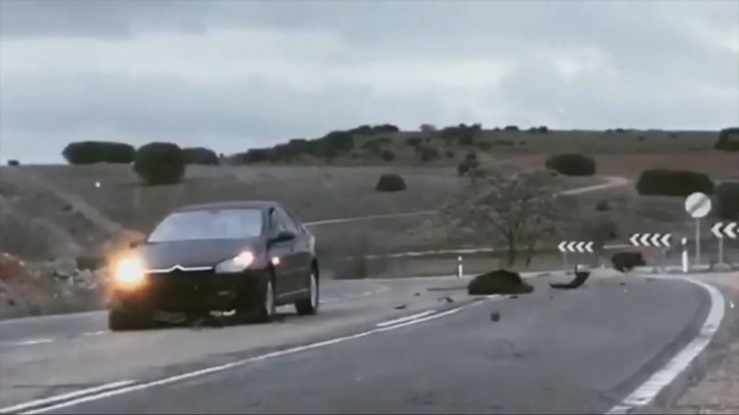 Hacer fotos, revisar el seguro... los consejos de los expertos ante a un accidente provocado por un animal Hacer fotos, revisar el seguro... los consejos de los expertos ante a un accidente provocado por un animal