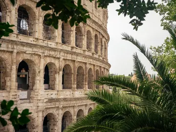 Coliseo. Roma Coliseo. Roma