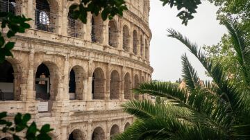 Coliseo. Roma