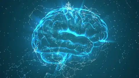 Cerebro Cerebro