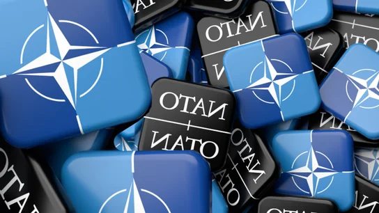 La OTAN, en su prueba de fuego, ¿puede sobrevivir sin el apoyo total de Estados Unidos? La OTAN, en su prueba de fuego, ¿puede sobrevivir sin el apoyo total de Estados Unidos?
