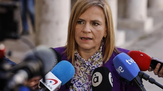 Imagen de la delegada del Gobierno en la Comunitat Valenciana, Pilar Bernabé. Imagen de la delegada del Gobierno en la Comunitat Valenciana, Pilar Bernabé.