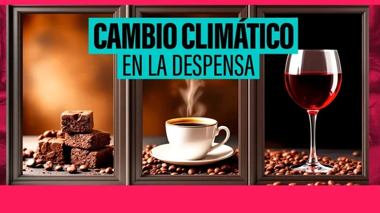 Café, vino, cerveza, plátanos, cacao... La despensa global, en jaque por el cambio climático Café, vino, cerveza, plátanos, cacao... La despensa global, en jaque por el cambio climático