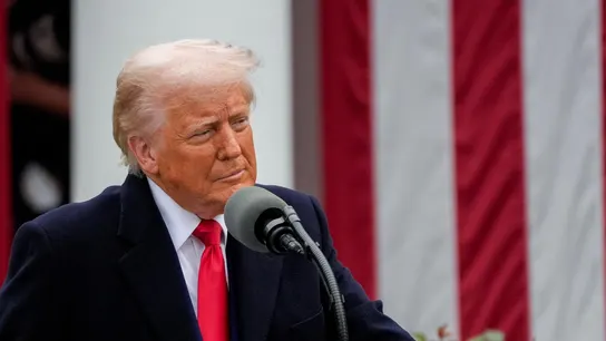 Donald Trump Donald Trump