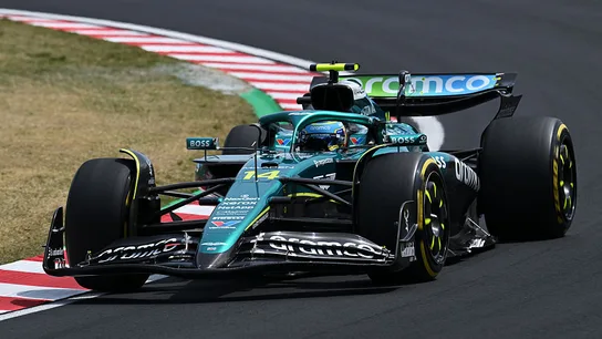 Fernando Alonso durante el GP de Japón Fernando Alonso durante el GP de Japón
