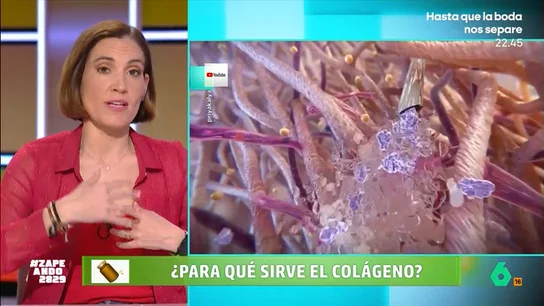 Boticaria García explica para qué sirve el colágeno: "Está hasta en el blanco de los ojos" El colágeno es una proteína que el cuerpo produce de manera natural pero, como expone la farmacéutica, "cuando envejecemos, producimos menos colágeno y de peor calidad".