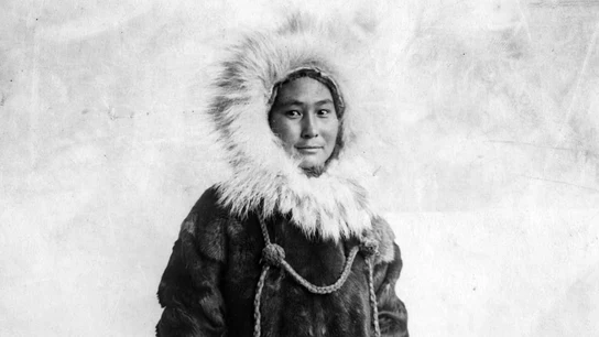 Ada Blackjack Ada Blackjack