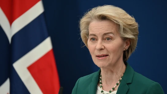 Imagen de archivo de Ursula Von der Leyen. Imagen de archivo de Ursula Von der Leyen.