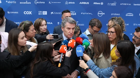 El presidente del PP, Alberto Núñez Feijóo El presidente del PP, Alberto Núñez Feijóo