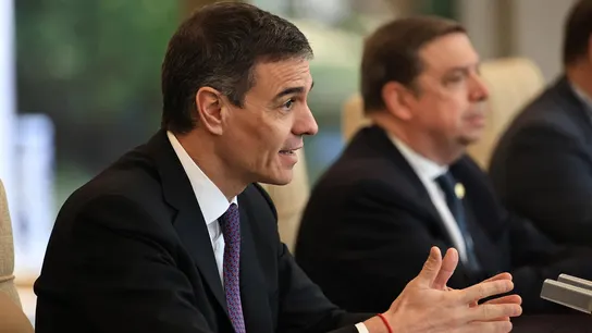 El presidente del Gobierno, Pedro Sánchez, en un momento de su visita a Pekín. El presidente del Gobierno, Pedro Sánchez, en un momento de su visita a Pekín.