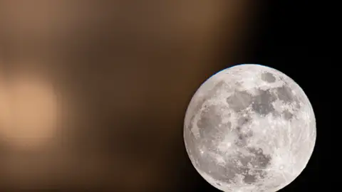 Luna llena Luna llena