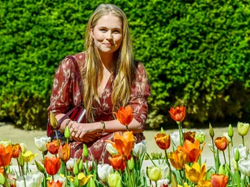 Tulipanes de Amalia de Holanda en Madrid Tulipanes de Amalia de Holanda en Madrid