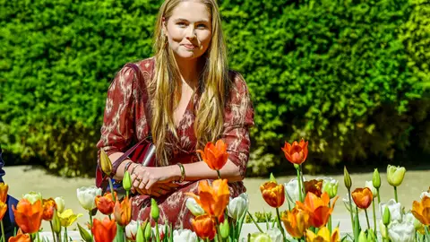 Tulipanes de Amalia de Holanda en Madrid Tulipanes de Amalia de Holanda en Madrid