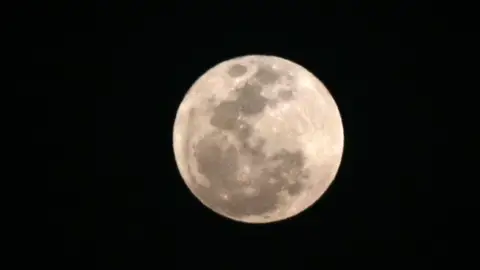 Luna Rosa en México Luna Rosa en México