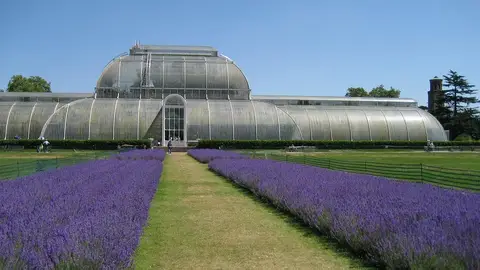 Kew Gardens Kew Gardens