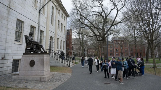 Universidad de Harvard Universidad de Harvard