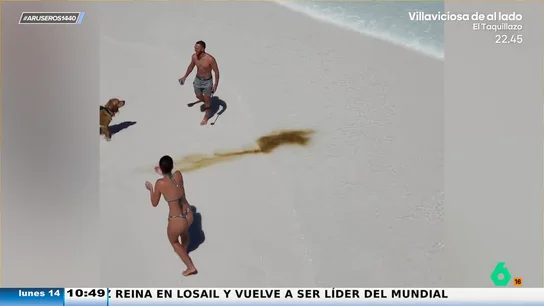 El divertido viral del perro que arruina la foto de película de un pareja en una playa paradisiaca El divertido viral del perro que arruina la foto de película de un pareja en una playa paradisiaca