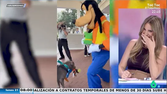 La inesperada confesión de Alfonso Arús acerca de su ropa interior: "Tengo hasta unos gayumbos de él" La inesperada confesión de Alfonso Arús acerca de su ropa interior: "Tengo hasta unos gayumbos de él"