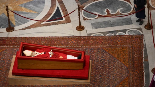 La monja Genevieve se salta el protocolo para despedir al papa Francisco La monja Genevieve se salta el protocolo para despedir al papa Francisco