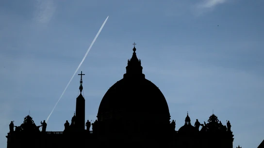 Vista de la basílica de San Pedro, en Ciudad del Vaticano, el día de la muerte del papa Francisco I Vista de la basílica de San Pedro, en Ciudad del Vaticano, el día de la muerte del papa Francisco I