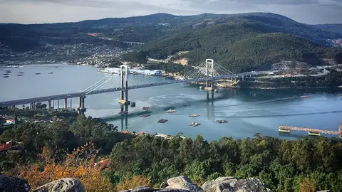 Ría de Vigo Ría de Vigo