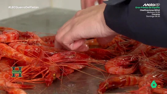 El experimento de los pescadores de Palamós que salvó a la gamba roja: "Le dabas la oportunidad de ser madre una vez en la vida" Miquel Mir, Patrón Mayor de la Cofradía de Pescadores de Palamós, explica en este vídeo cómo ante la situación crítica de los caladeros de gamba roja en 2007, tomaron medidas de pesca sostenible "basado en experimentos científicos".