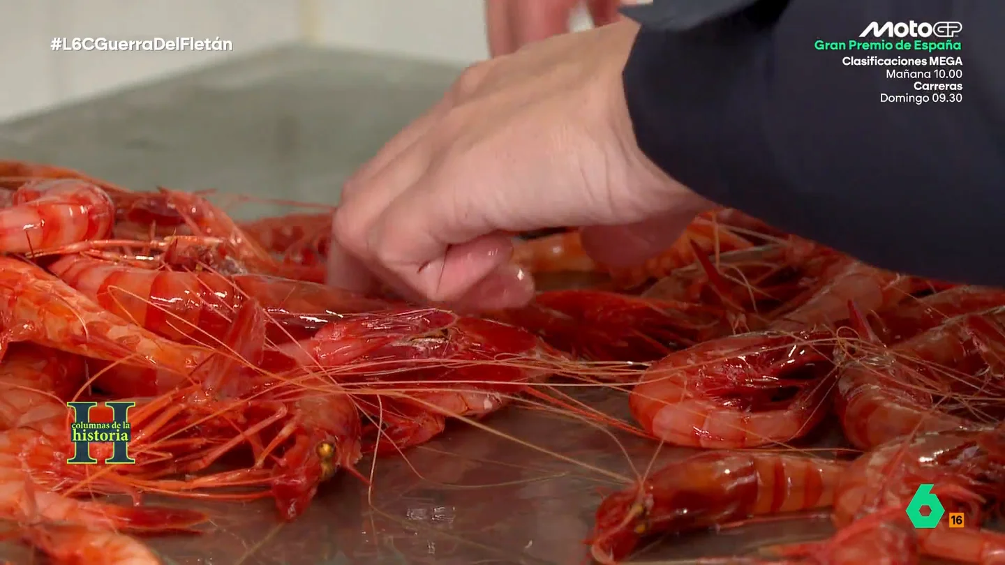 El experimento de los pescadores de Palamós que salvó a la gamba roja: "Le dabas la oportunidad de ser madre una vez en la vida" Miquel Mir, Patrón Mayor de la Cofradía de Pescadores de Palamós, explica en este vídeo cómo ante la situación crítica de los caladeros de gamba roja en 2007, tomaron medidas de pesca sostenible "basado en experimentos científicos".