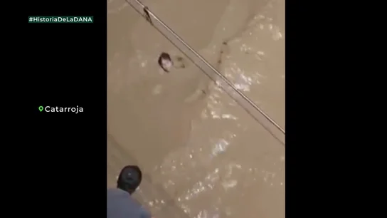 "Solo luchaba por sobrevivir": Un superviviente de la DANA reconstruye el milagroso rescate a Conchi antes de ser engullida por la riada "Solo luchaba por sobrevivir": Un superviviente de la DANA reconstruye el milagroso rescate a Conchi antes de ser engullida por la riada
