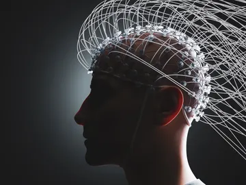 Señales cerebrales Señales cerebrales