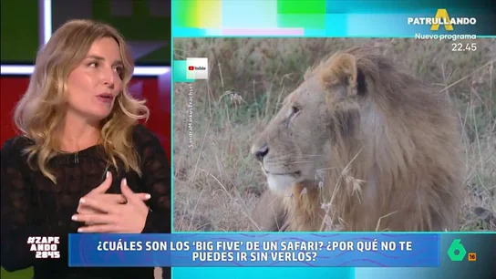 La influencer Marina Comes comparte qué no debe hacerse nunca durante un safari: "Hay que tener sentido común" Hacer un safari es el sueño de muchas personas para así poder ver, en su hábitat natural, a animales como leones, leopardos o rinocerontes. Por ello, es necesario llevar a cabo una serie de precauciones.