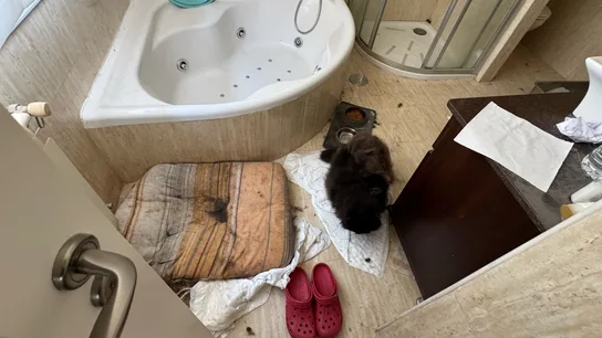 Las desgarradoras imágenes del interior de la casa en la que vivían los tres niños en un chalet de Oviedo Las desgarradoras imágenes del interior de la casa en la que vivían los tres niños en un chalet de Oviedo