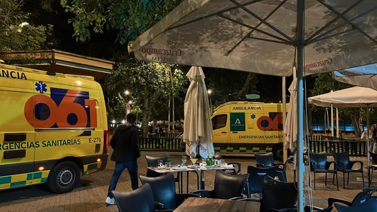 Servicios sanitarios en Alameda de Hércules, en Sevilla Servicios sanitarios en Alameda de Hércules, en Sevilla