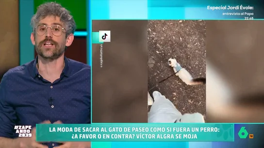 ¿Son beneficiosos los paseos para los gatos? Esto opina el veterinario Víctor Algra Una de las últimas tendencias entre los dueños de gatos es pasearlos como si fueran perros. Pero, ¿estos paseos son recomendables o, en realidad, pueden perjudicar a los mininos? El veterinario responde a esta cuestión en Zapeando.
