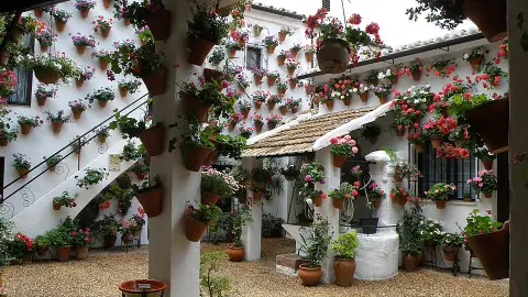 Patio cordobés Patio cordobés
