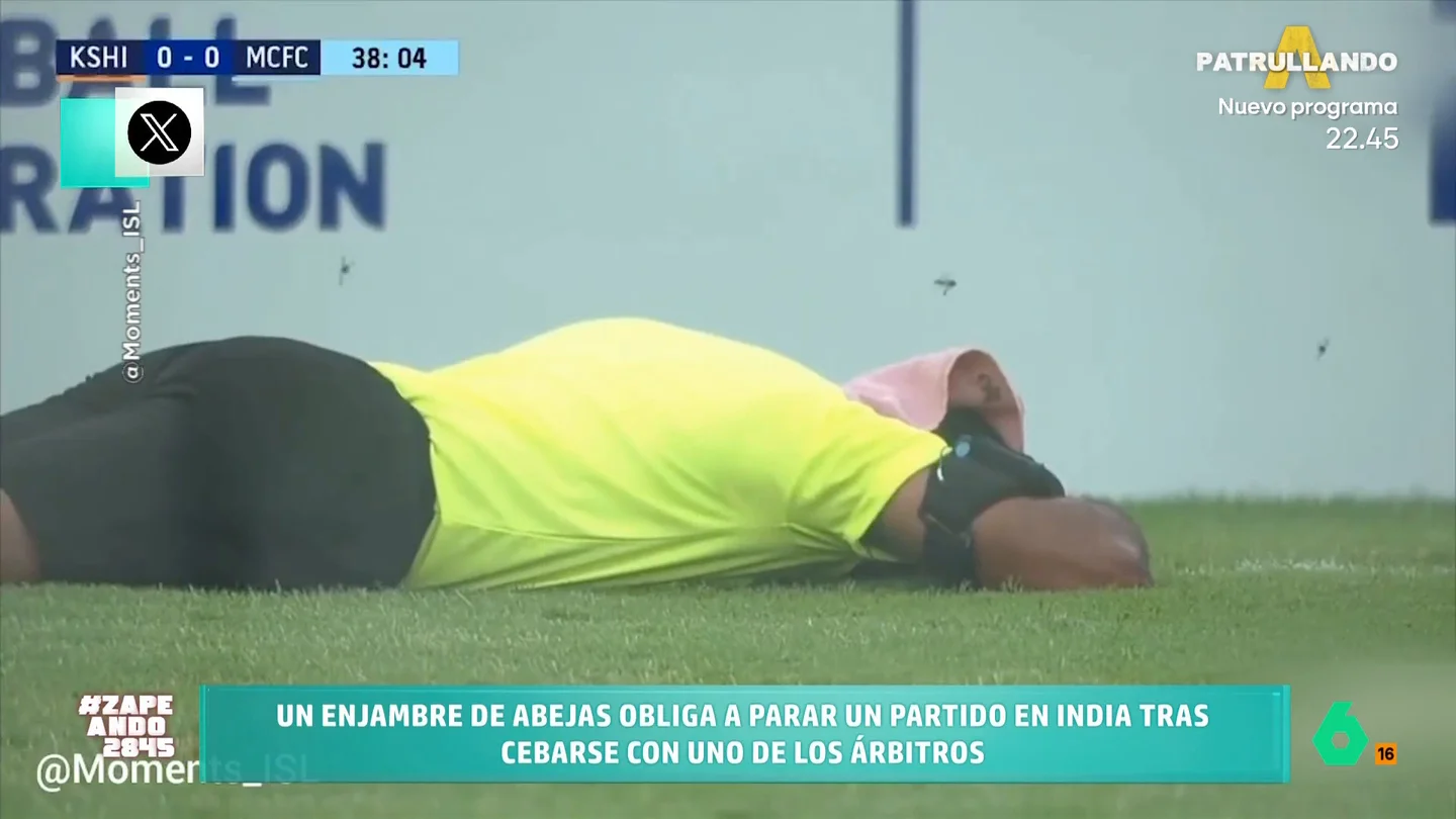 Un árbitro de fútbol es atacado por un enjambre de abejas: "¿Cómo haces para sacarle tarjeta a una?" El colegiado se ve sorprendido por los insectos que parecen tener una fijación con él. En lugar de correr para evitarlos, decide mantenerse en su puesto y protegerse solo con una toalla.