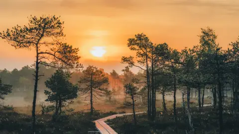 Paisaje estonio Paisaje estonio